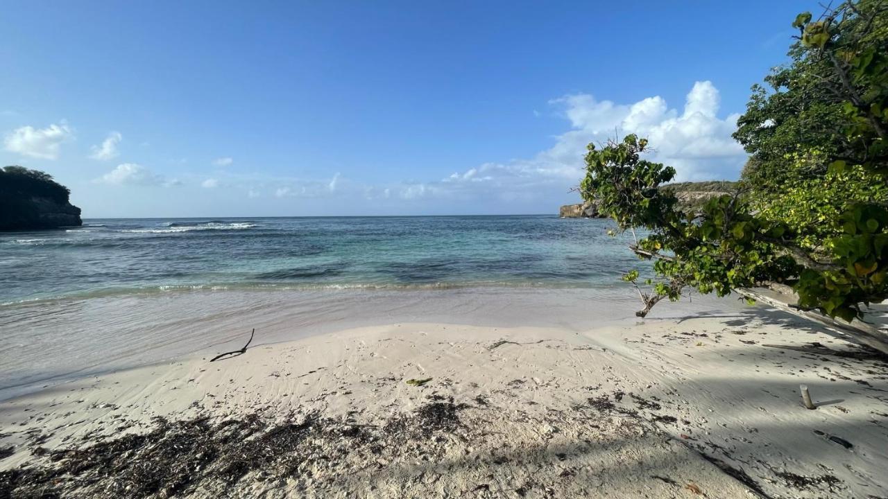 Appartement Cosy - Entre Nature Et Plages De Reve Le Gosier  Exterior photo